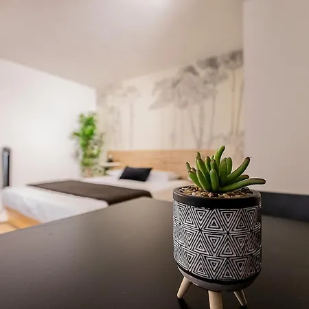 Filatiers - Carmes Hypercentre - 1 Min Du Metro Tuluza